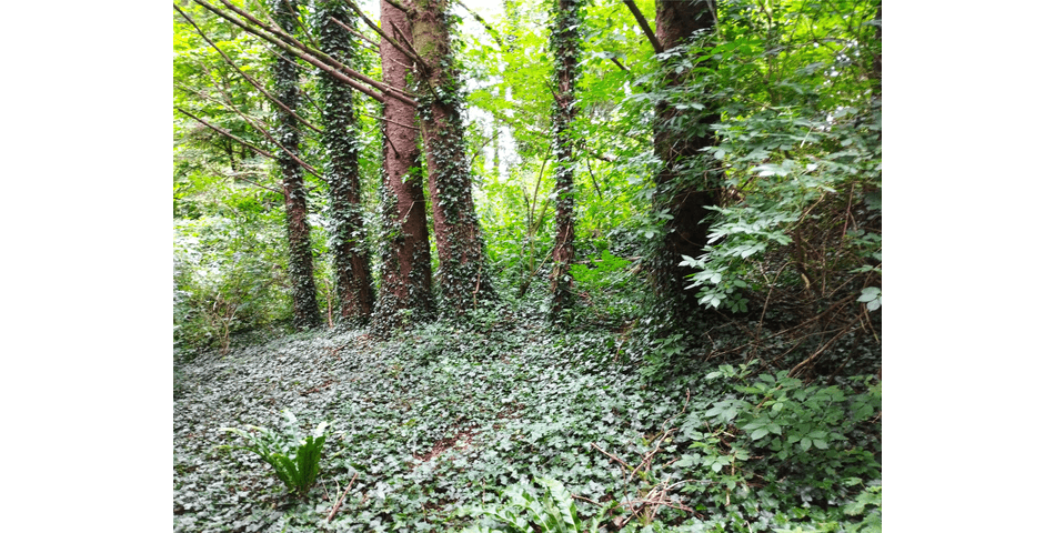 Property Image 0